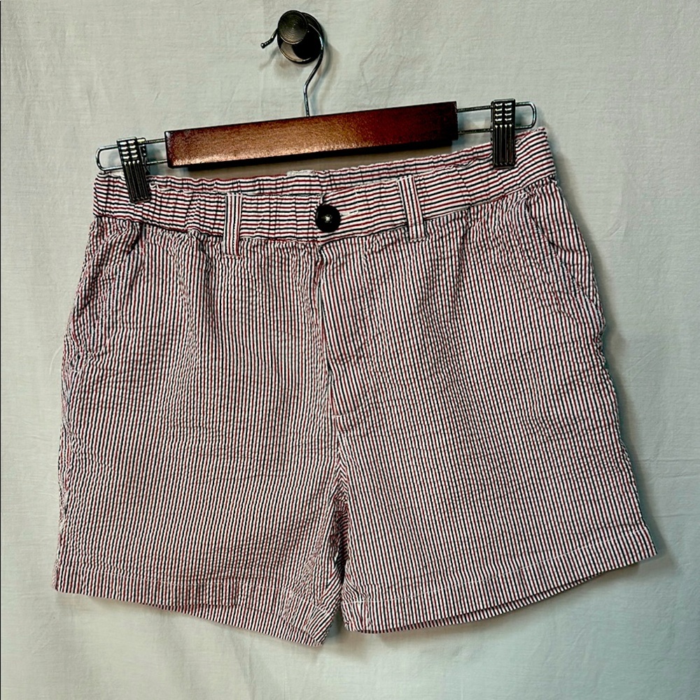 Chubbies Red and White and Blue Striped Men’s Bushwoods Shorts
